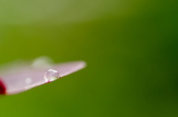 On the edge