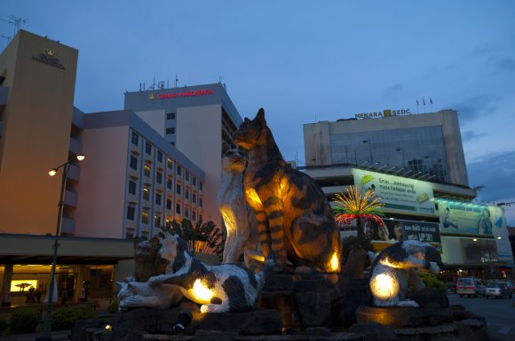 Cat city!