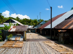 A modern longhouse