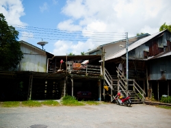 Annah Rais longhouse