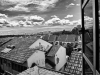 Midday B&W HDR