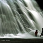 20101208-waterfallsurvivors