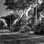 feature-picturesfromttdi