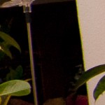 300% crop, notice the blue / yellow chromatic aberration